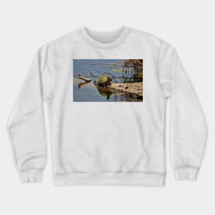 Turtle Stretch Crewneck Sweatshirt